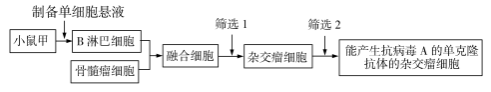 2020广东高考理综试题