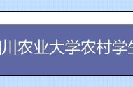 四川农业大学农村学生单独招生简章报考条件录取分数线