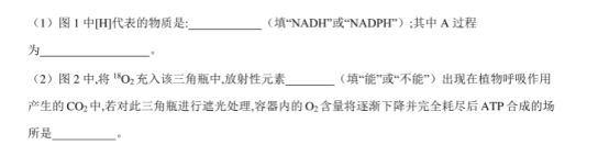 2020高考生物冲刺全真模拟卷【含答案】