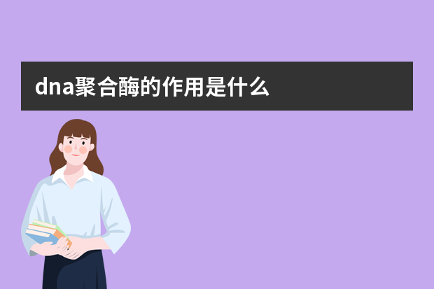 dna聚合酶的作用是什么