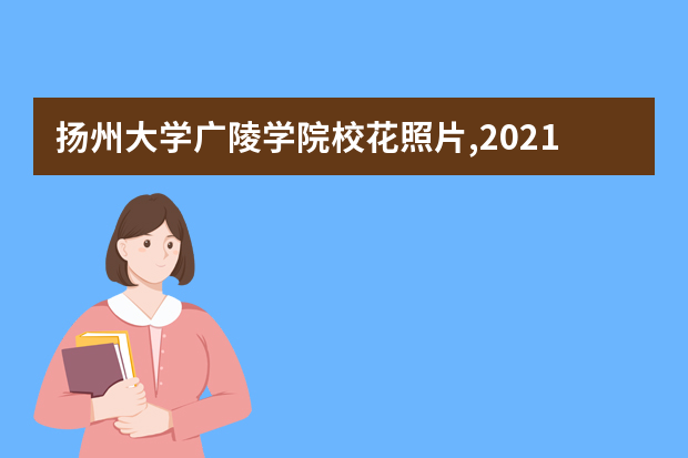 扬州大学广陵学院校花照片,2021年扬州大学广陵学院校花是谁(多图)