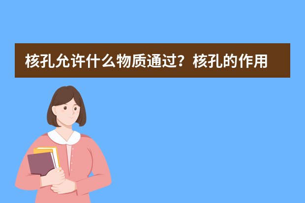 核孔允许什么物质通过？核孔的作用